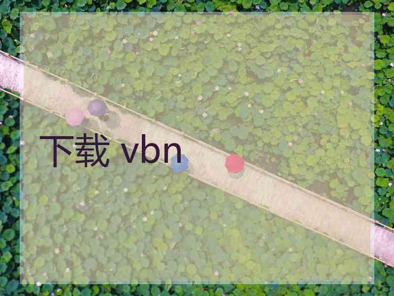 下载 vbn