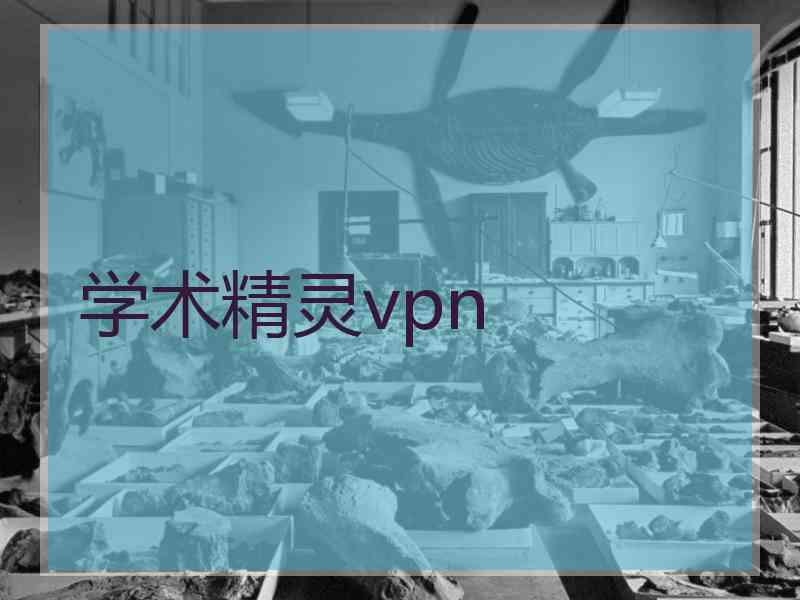 学术精灵vpn