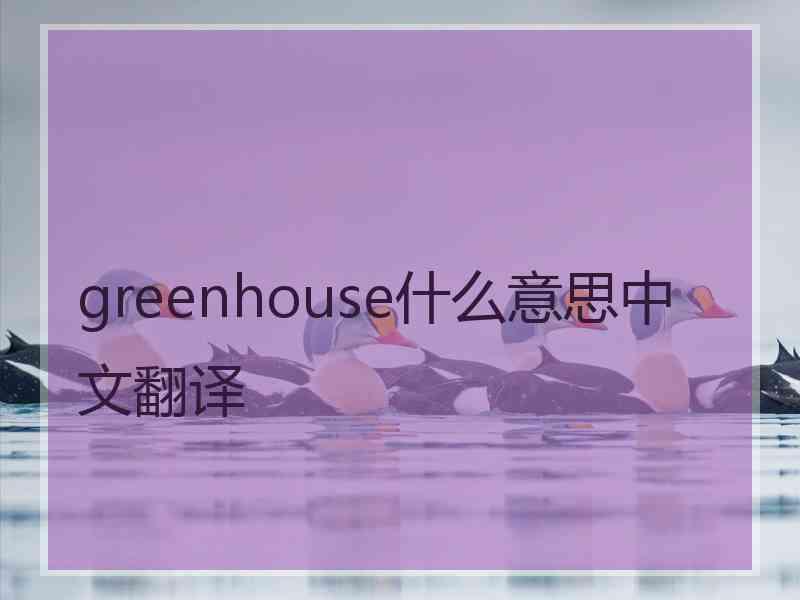 greenhouse什么意思中文翻译