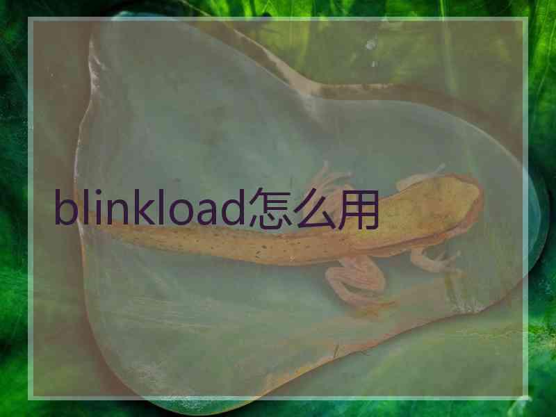 blinkload怎么用