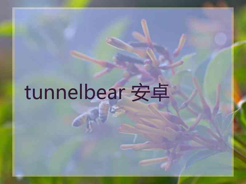 tunnelbear 安卓