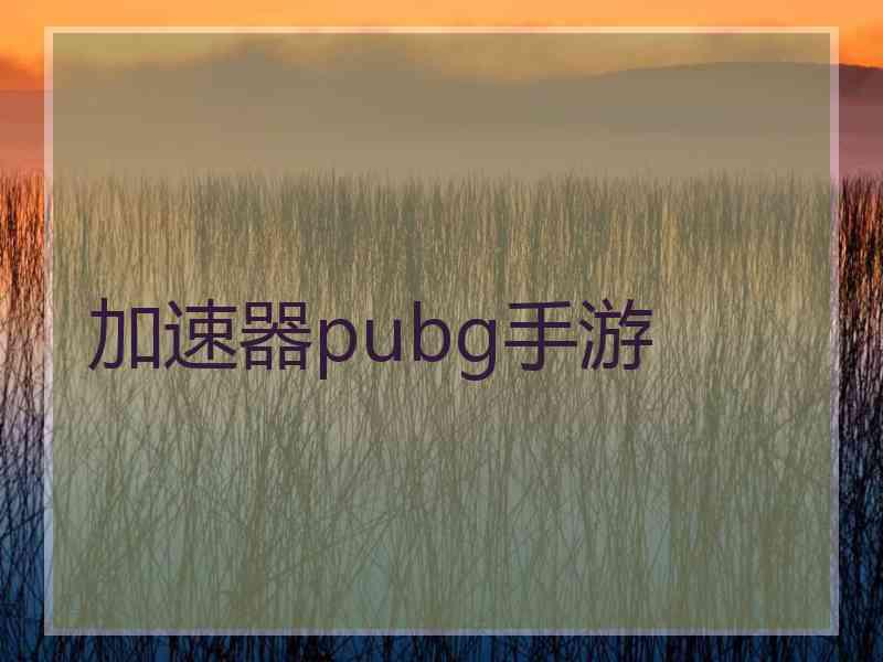 加速器pubg手游