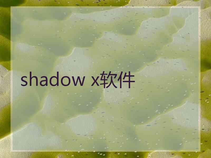 shadow x软件