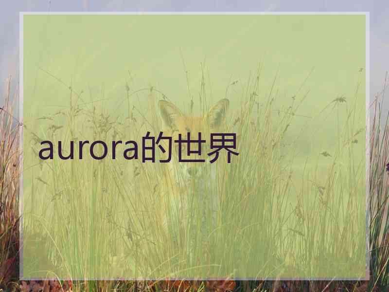 aurora的世界