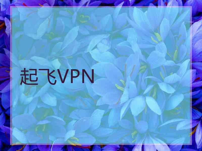 起飞VPN