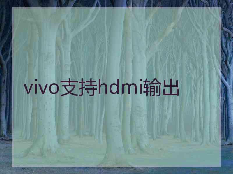 vivo支持hdmi输出