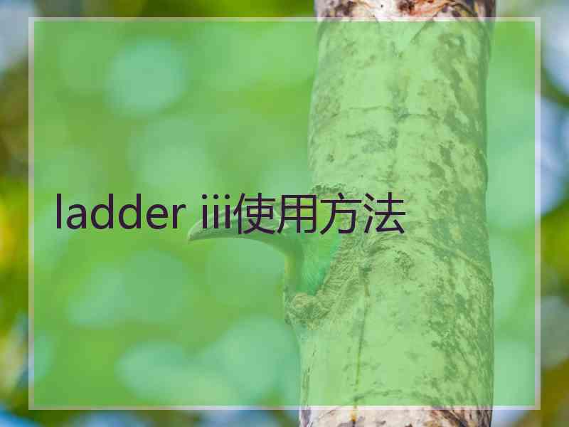 ladder iii使用方法