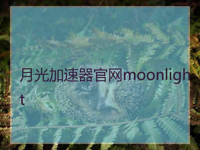 月光加速器官网moonlight