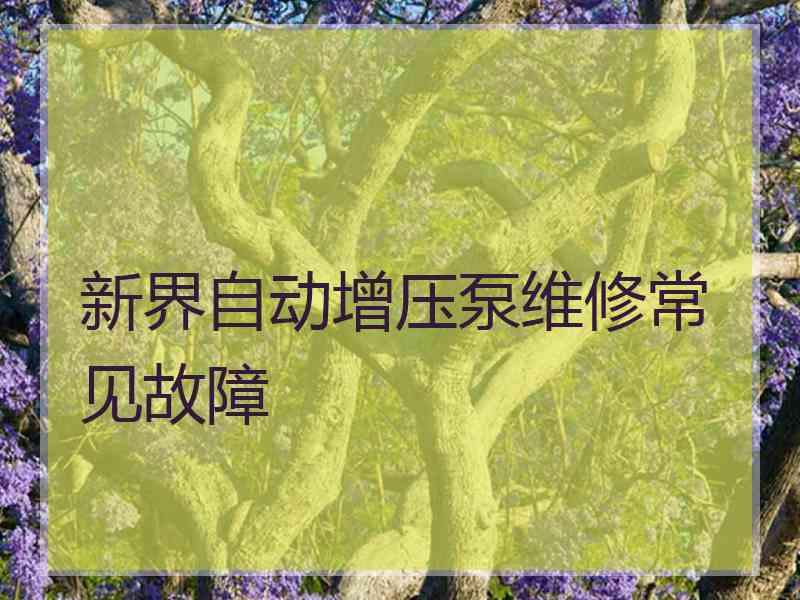 新界自动增压泵维修常见故障