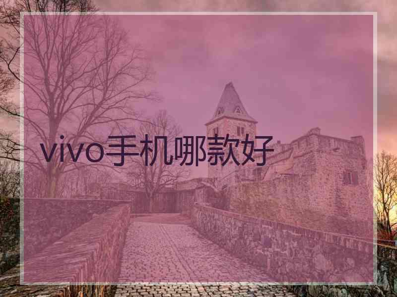 vivo手机哪款好