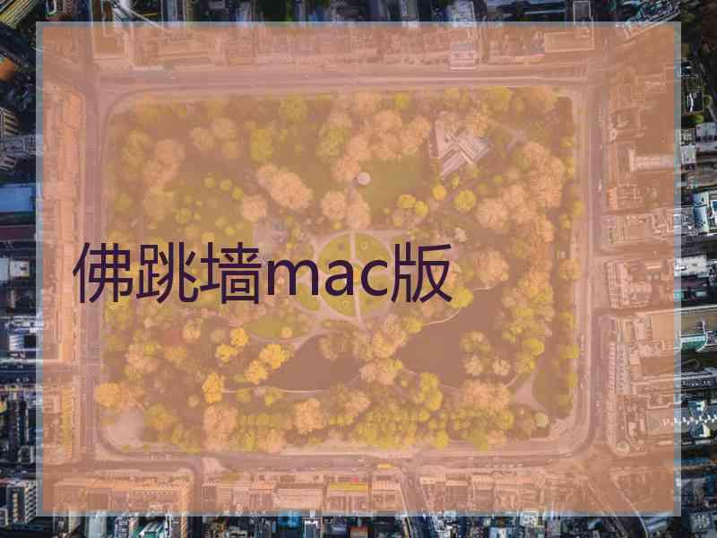 佛跳墙mac版