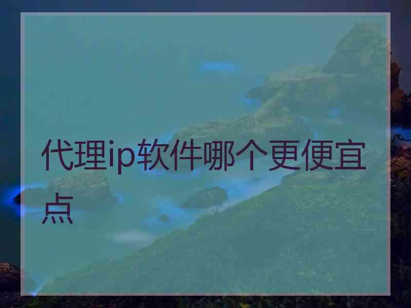 代理ip软件哪个更便宜点