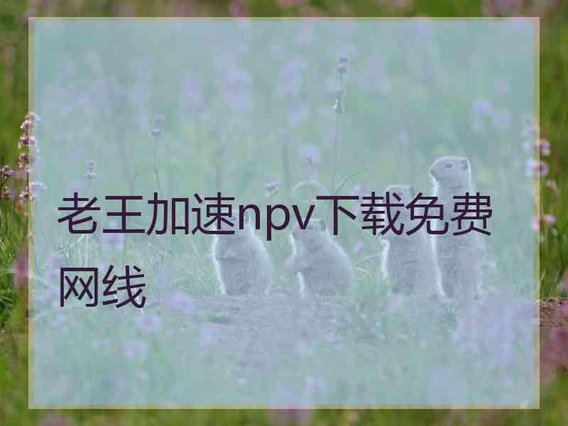 老王加速npv下载免费网线