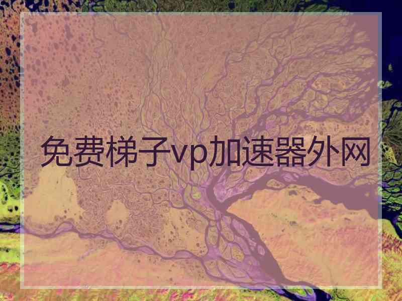 免费梯子vp加速器外网