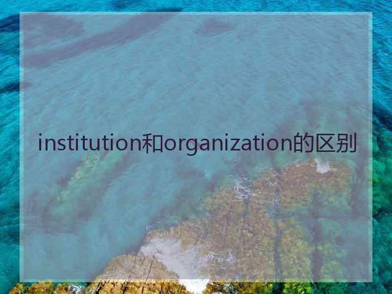 institution和organization的区别