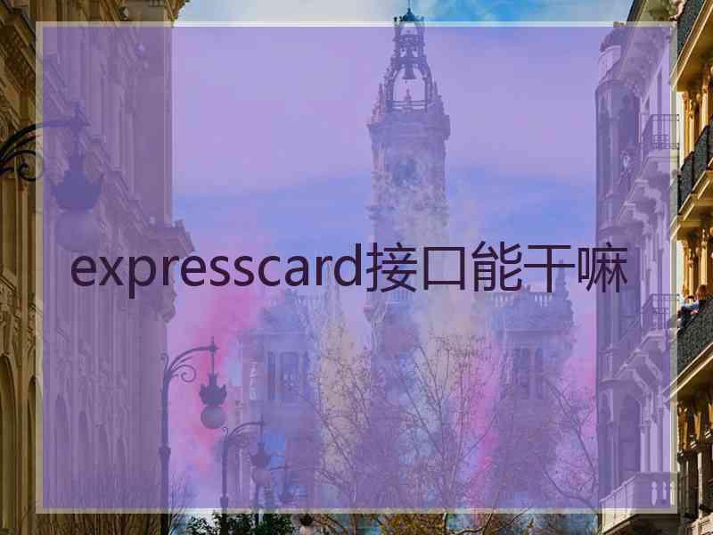 expresscard接口能干嘛