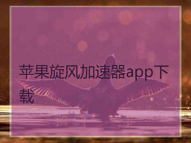 苹果旋风加速器app下载