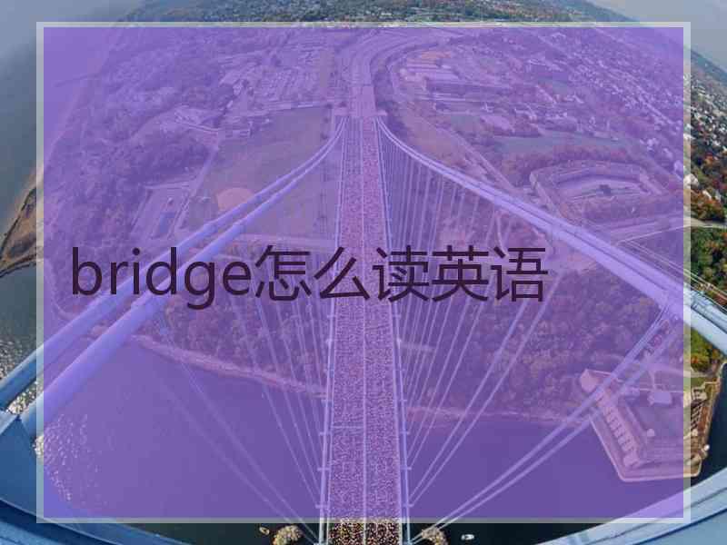 bridge怎么读英语