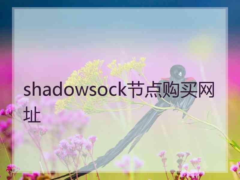 shadowsock节点购买网址