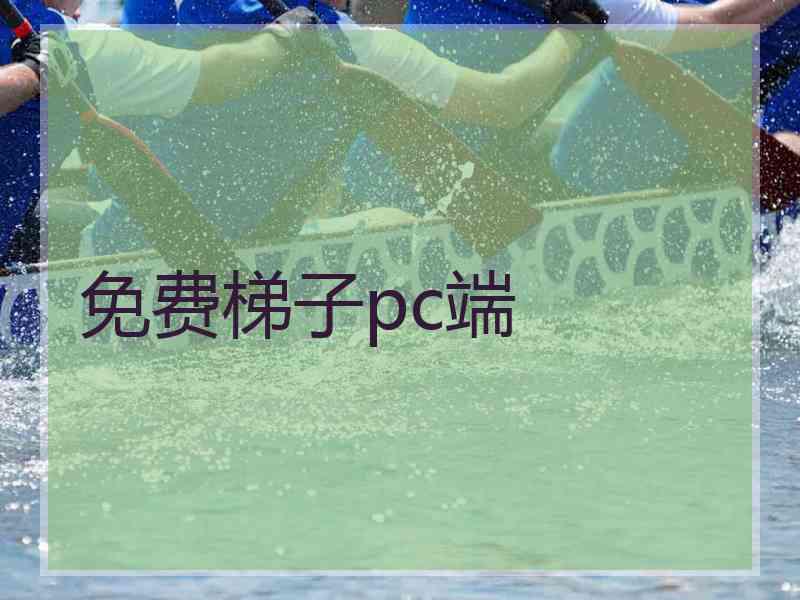 免费梯子pc端