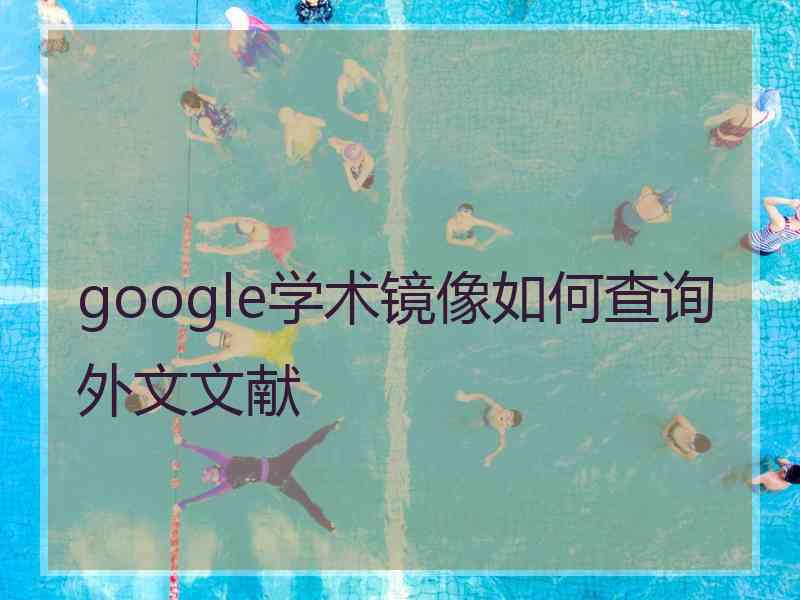 google学术镜像如何查询外文文献