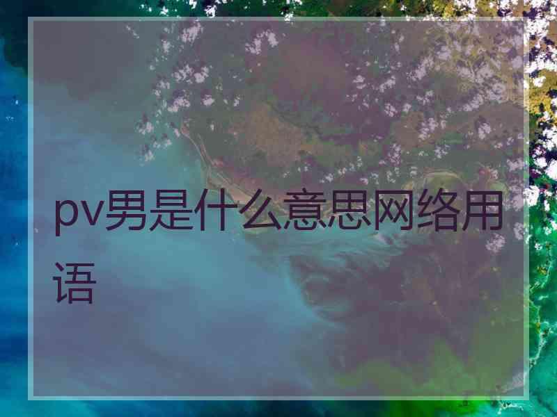 pv男是什么意思网络用语