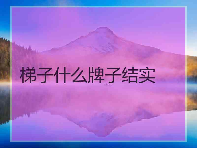 梯子什么牌子结实