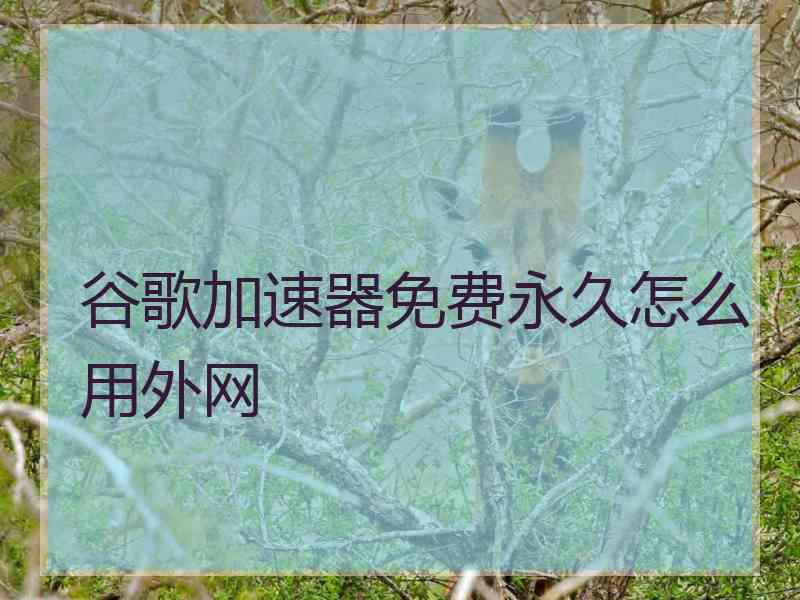 谷歌加速器免费永久怎么用外网