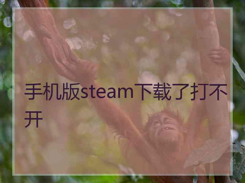 手机版steam下载了打不开