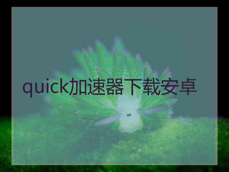 quick加速器下载安卓