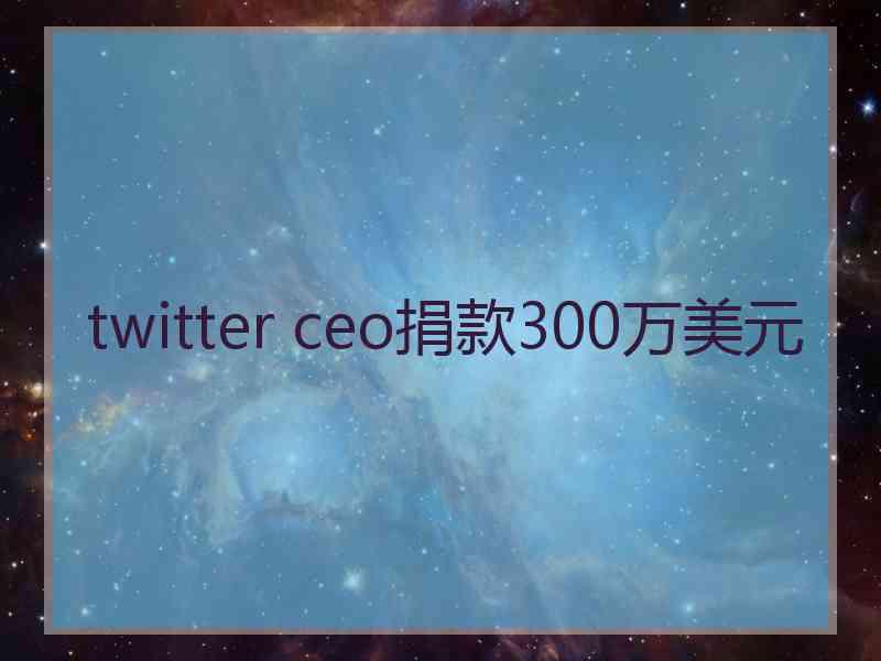 twitter ceo捐款300万美元