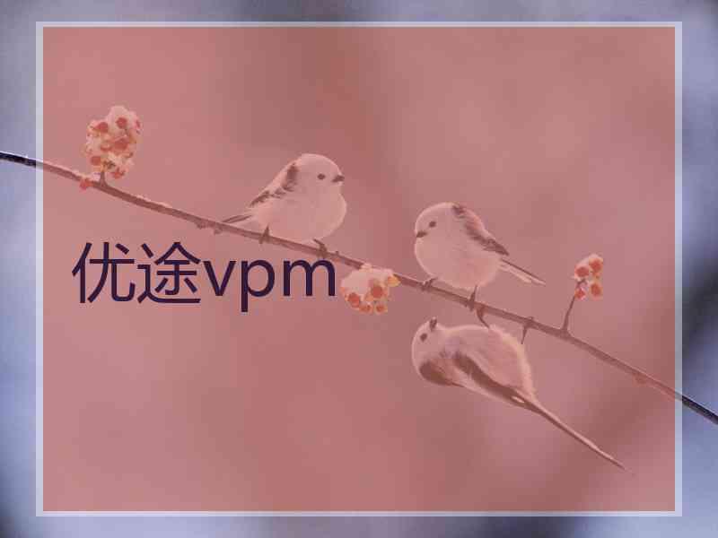 优途vpm