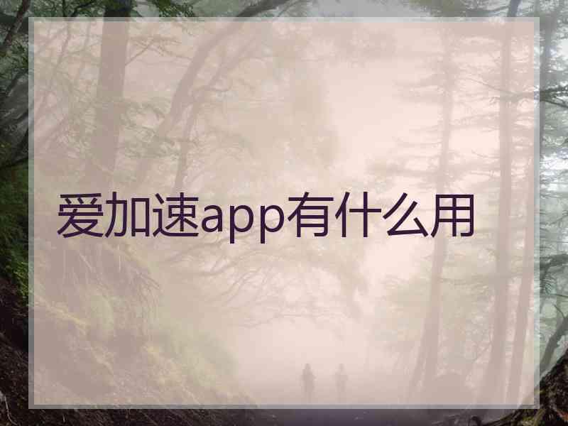 爱加速app有什么用