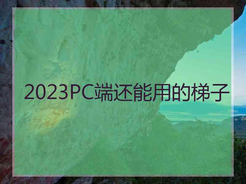 2023PC端还能用的梯子