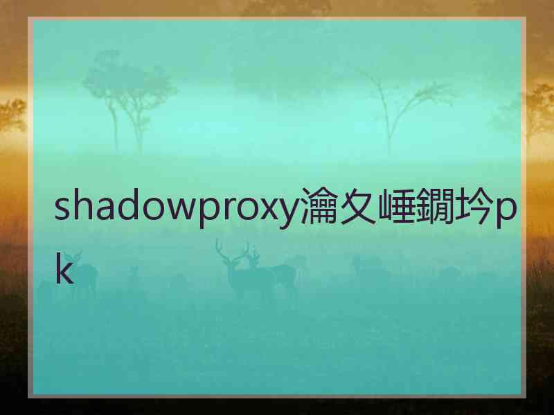 shadowproxy瀹夊崜鐗坅pk