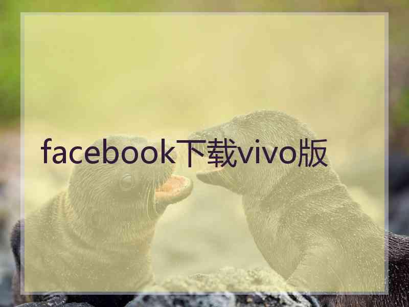 facebook下载vivo版