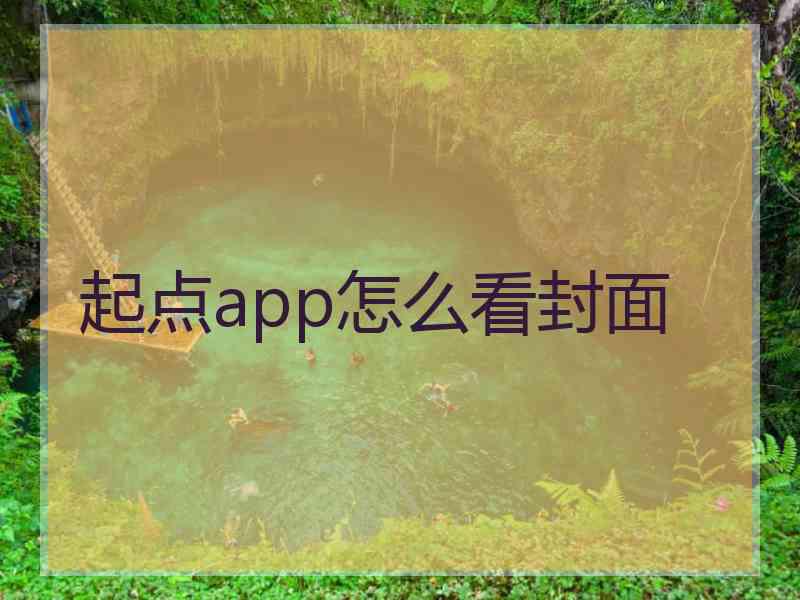 起点app怎么看封面