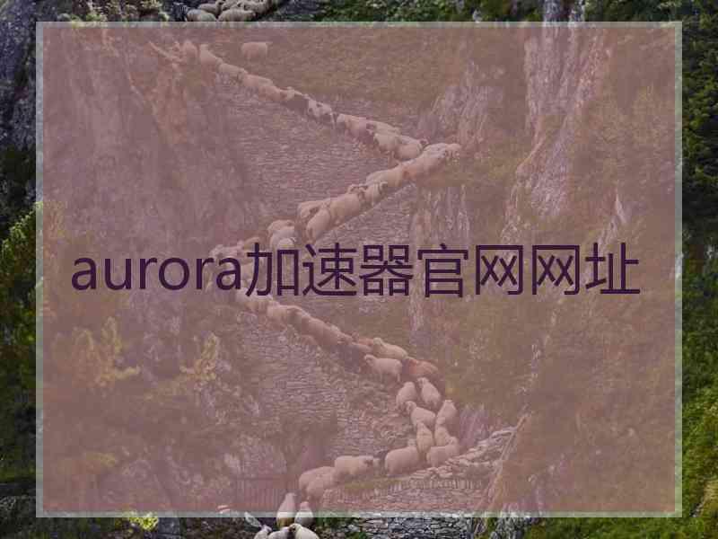 aurora加速器官网网址