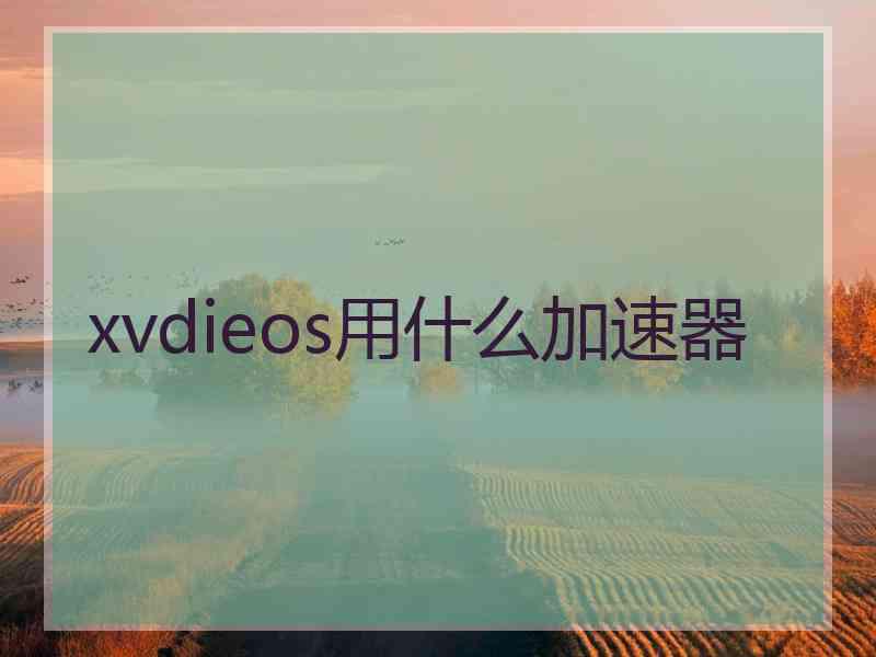 xvdieos用什么加速器