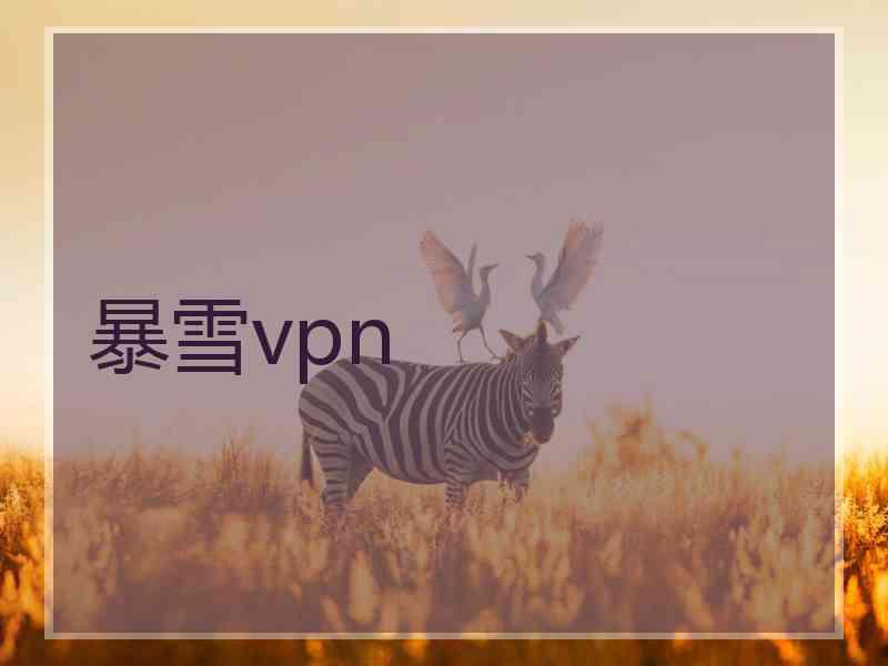 暴雪vpn