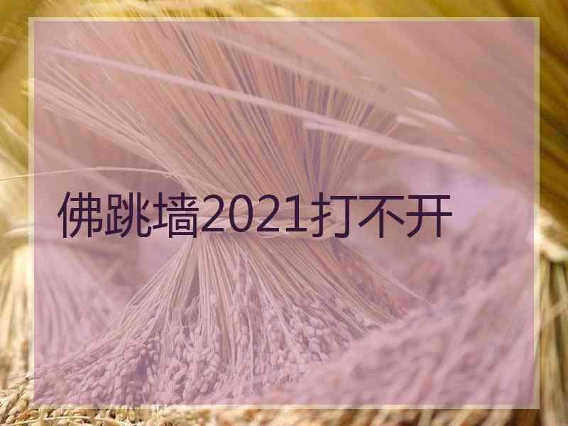 佛跳墙2021打不开