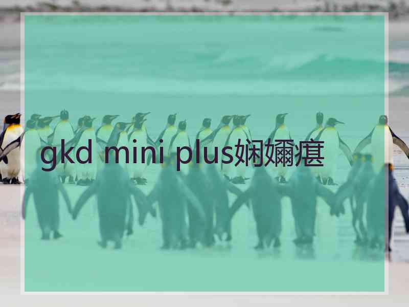 gkd mini plus娴嬭瘎