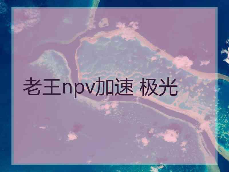 老王npv加速 极光