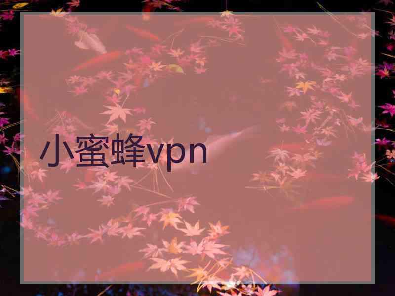 小蜜蜂vpn