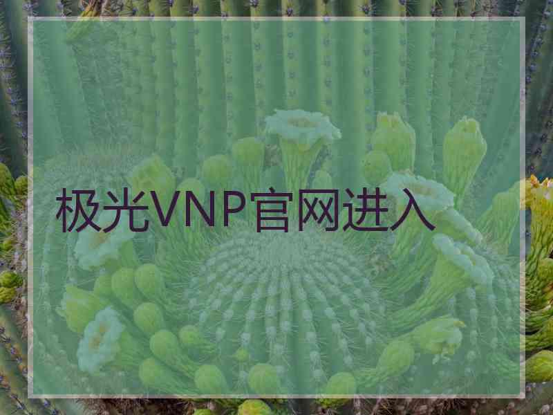 极光VNP官网进入