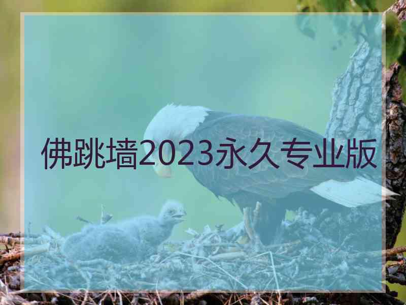 佛跳墙2023永久专业版