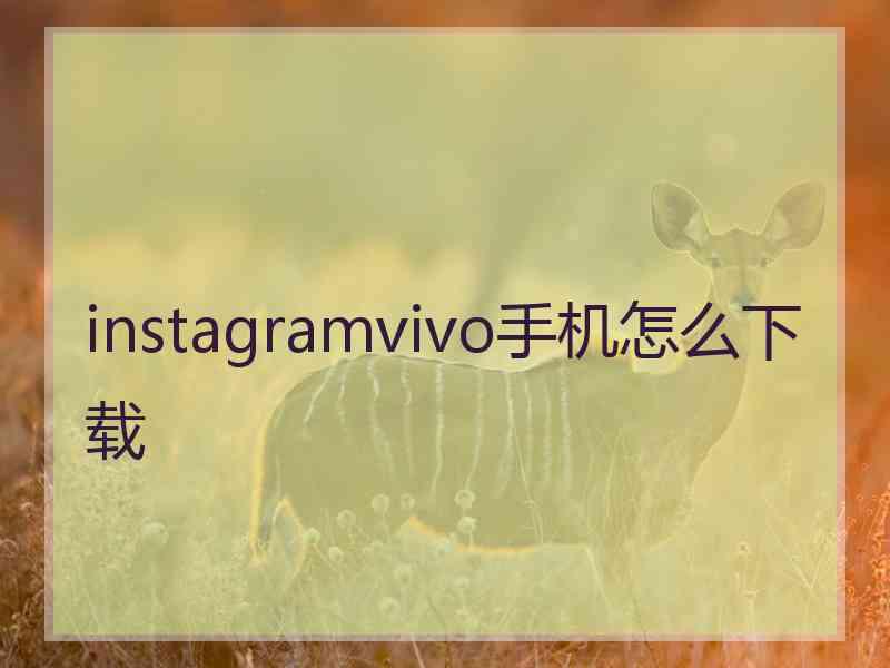 instagramvivo手机怎么下载