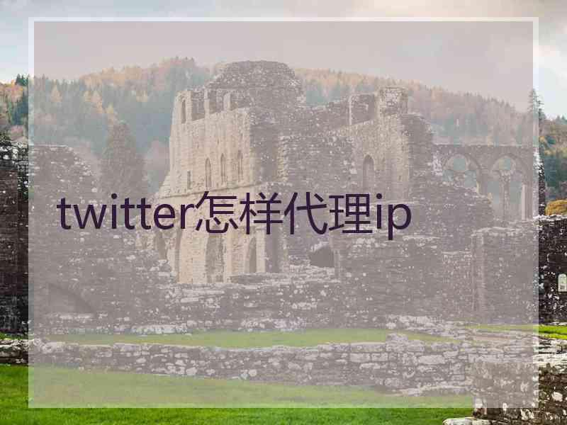 twitter怎样代理ip