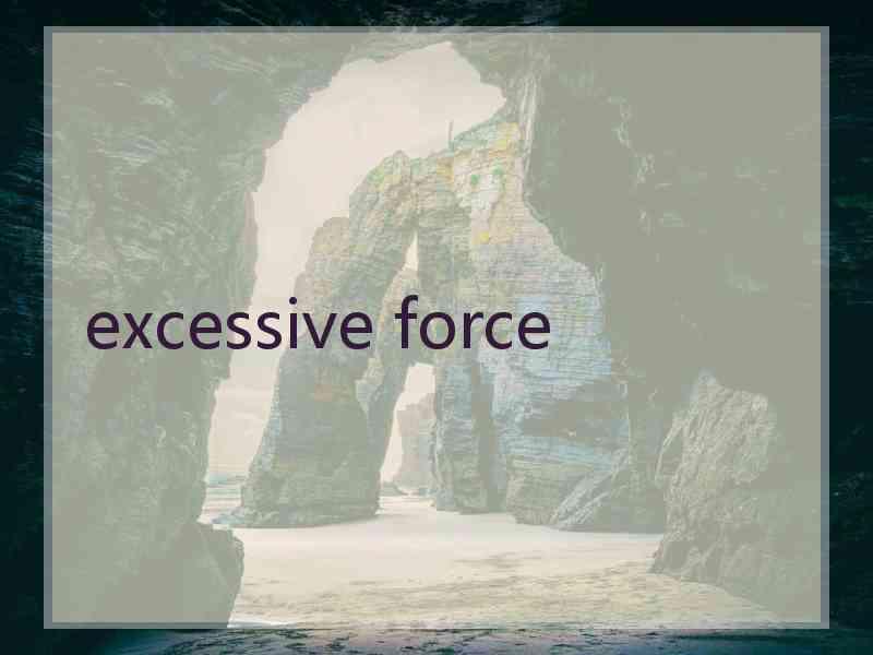 excessive force