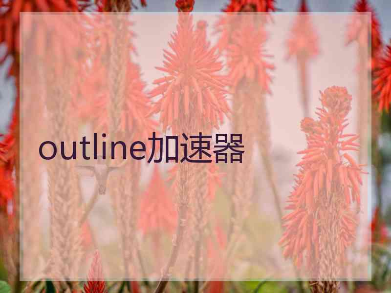 outline加速器